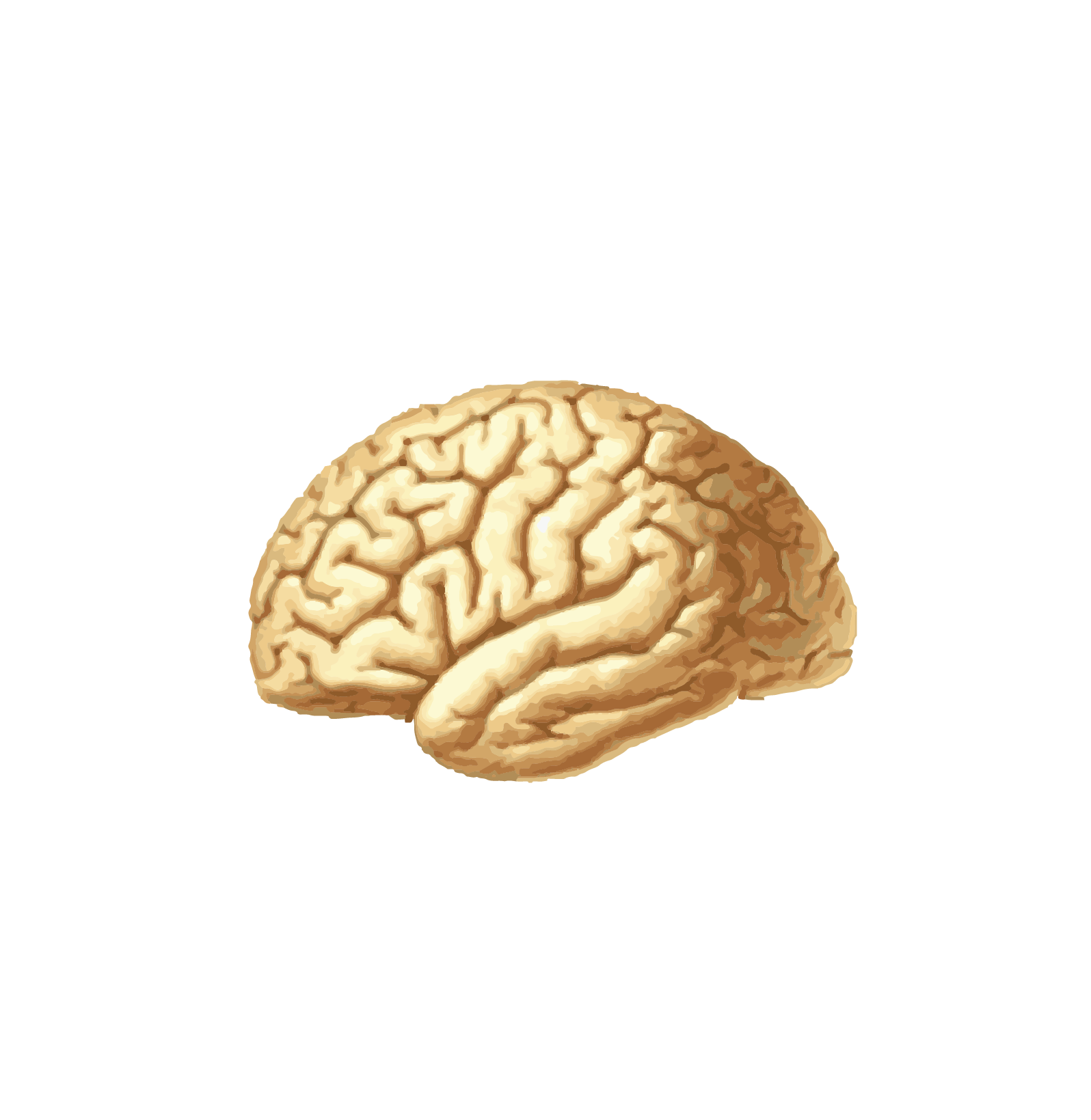 SEXNE